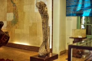 bảo tàng địa chất