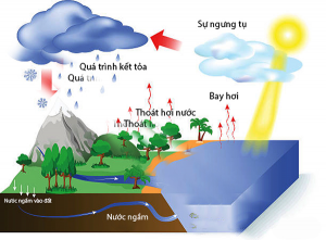 cách tìm mạch nước ngầm để khoan giếng