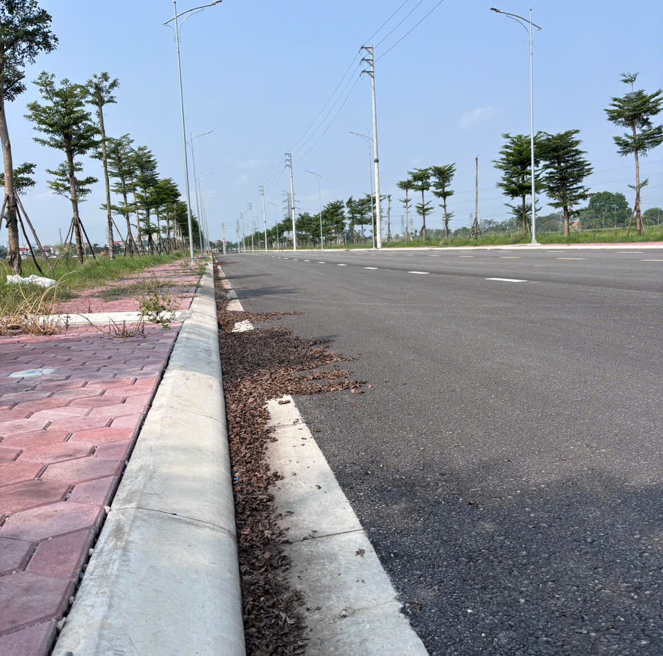 THÍ NGHIỆM CỌC PDA TẠI PHƯỜNG VĨNH NGUYÊN THÀNH PHỐ NHA TRANG VÀ QUY TRÌNH KIỂM ĐỊNH MÓNG CÔNG TRÌNH VEN BIỂN TỈNH KHÁNH HÒA SAU NĂM 2026